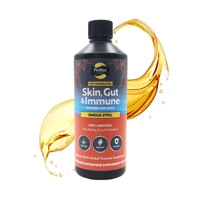 Salmon Oil for Skin & Gut Health - Omega Vital