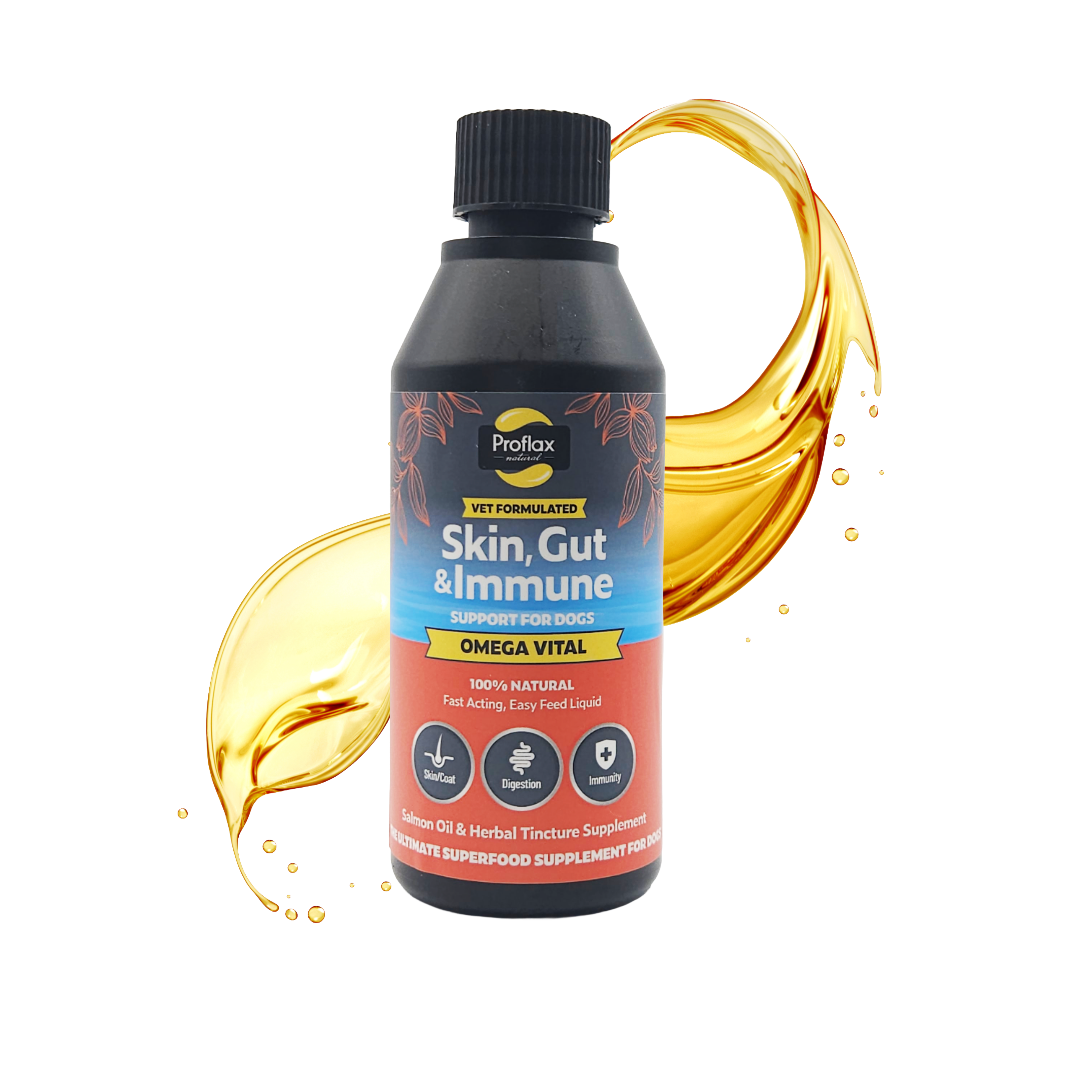 Salmon Oil for Skin & Gut Health - Omega Vital