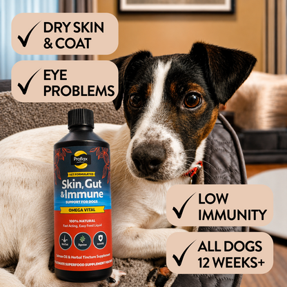 Salmon Oil for Skin & Gut Health - Omega Vital