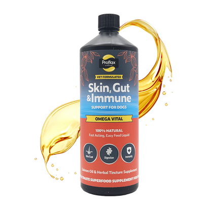Salmon Oil for Skin & Gut Health - Omega Vital