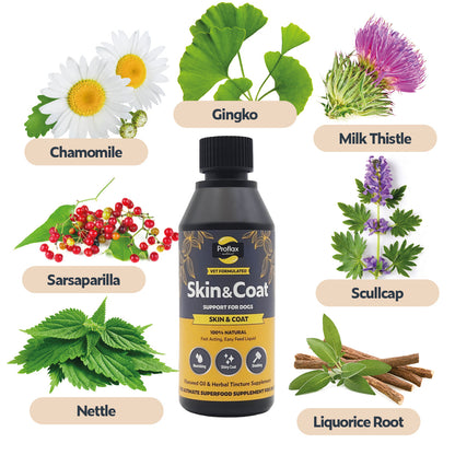 Targeted Wellness Bundle - Mini Allergy