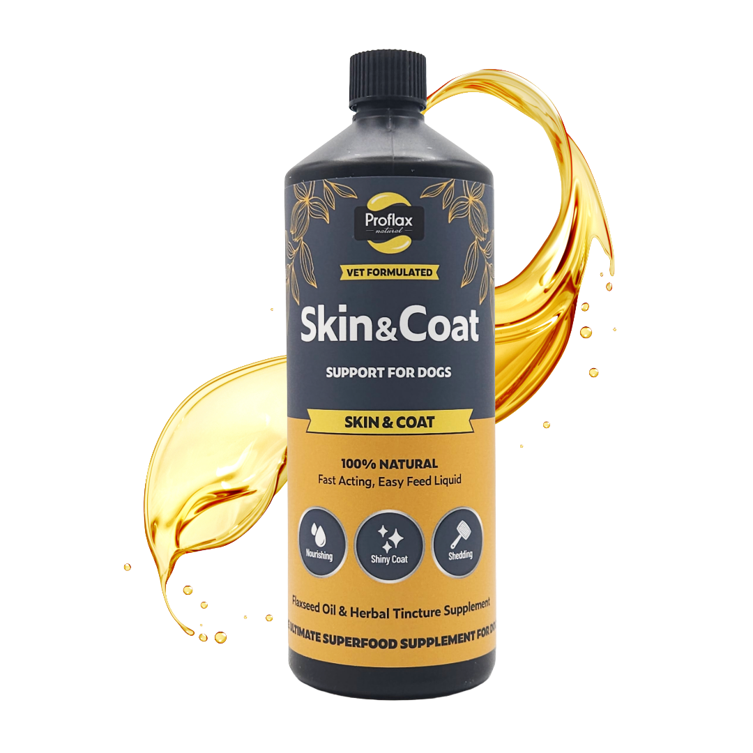 Skin & Coat Support for Dogs