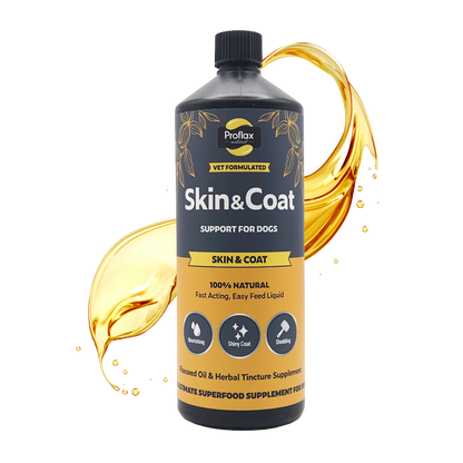 Skin & Coat Support for Dogs