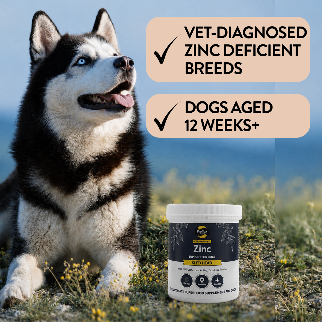 Sled Head – Complete Zinc Nutrition Blend - Proflax