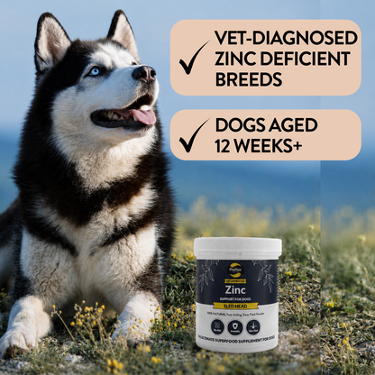 Sled Head – Complete Zinc Nutrition Blend - Proflax