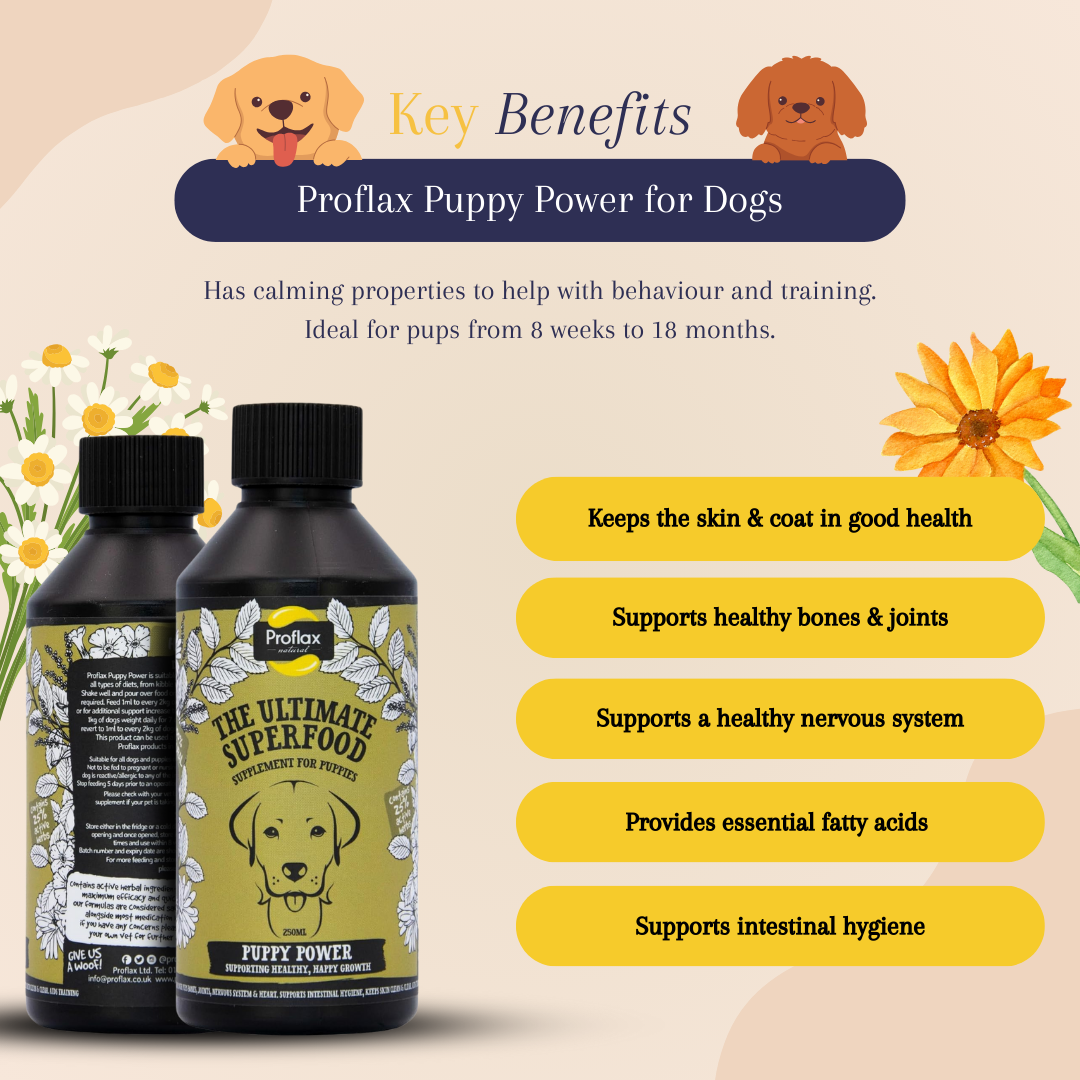 Proflax Puppy Power for Dogs