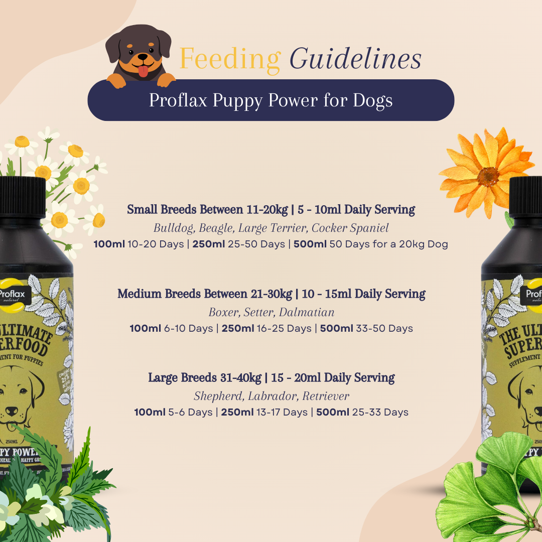 Proflax Puppy Power for Dogs