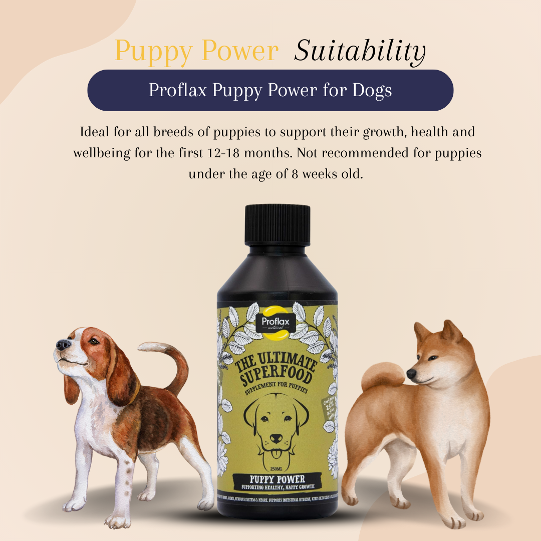 Proflax Puppy Power for Dogs