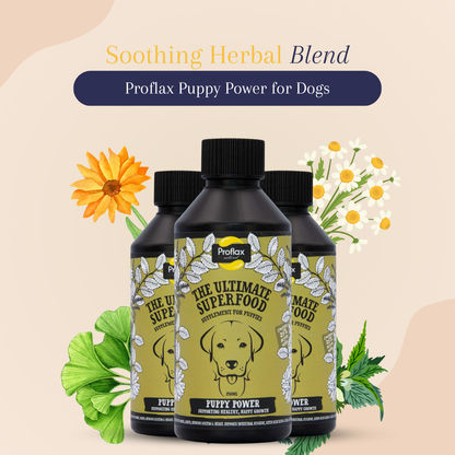 Proflax Puppy Power for Dogs