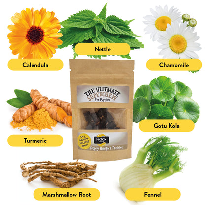 Soft Chews for Functional Support - Puppy (Pocket Pack)