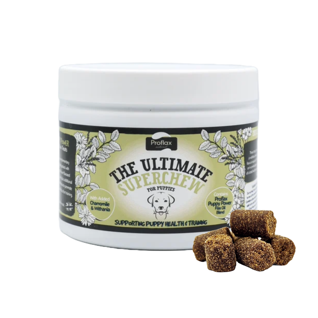 Soft Chews for Functional Support - Puppy