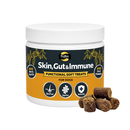 Soft Chews for Functional Support - Skin, Gut & Immune
