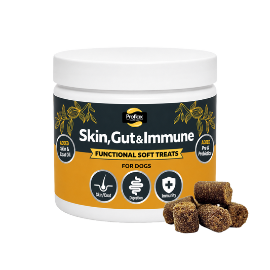 Soft Chews for Functional Support - Skin, Gut & Immune
