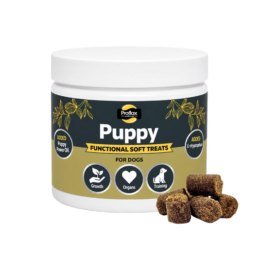 Soft Chews for Functional Support - Puppy