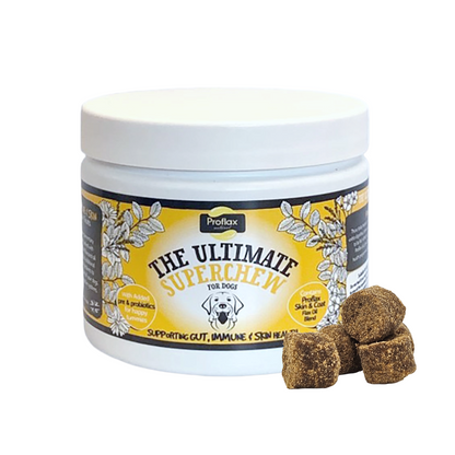 Soft Chews for Functional Support - Skin, Gut & Immune