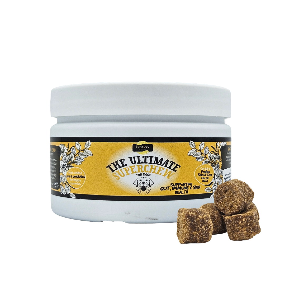 Soft Chews for Functional Support - Skin, Gut & Immune - Proflax