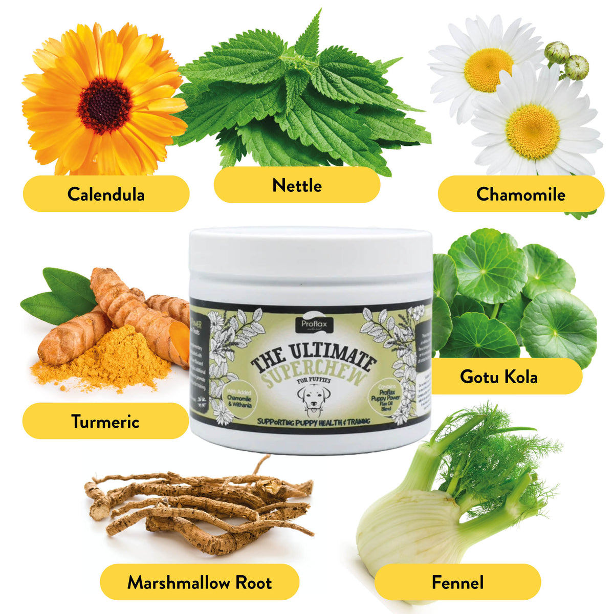 Soft Chews for Functional Support - Puppy