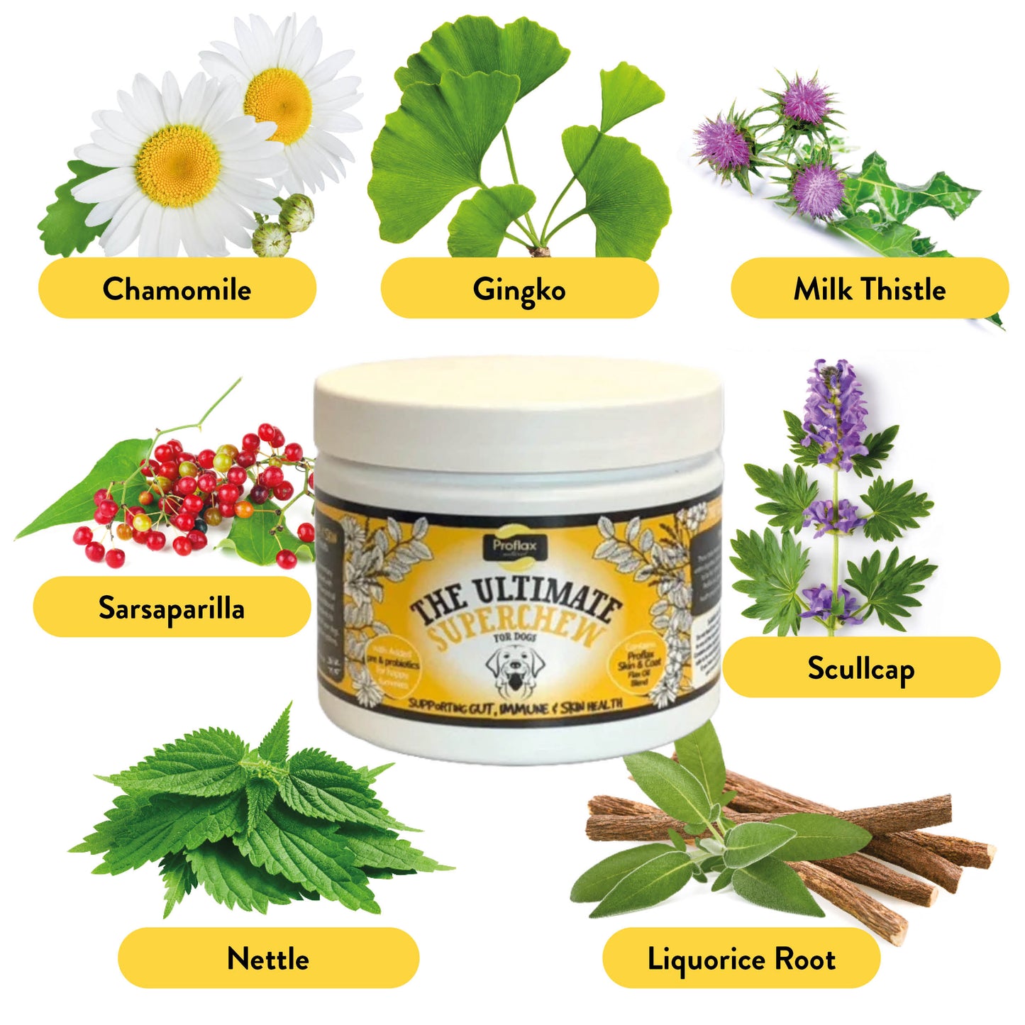 Targeted Wellness Bundle - Adult (Premium)