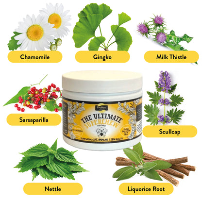 Targeted Wellness Bundle - Adult (Premium)