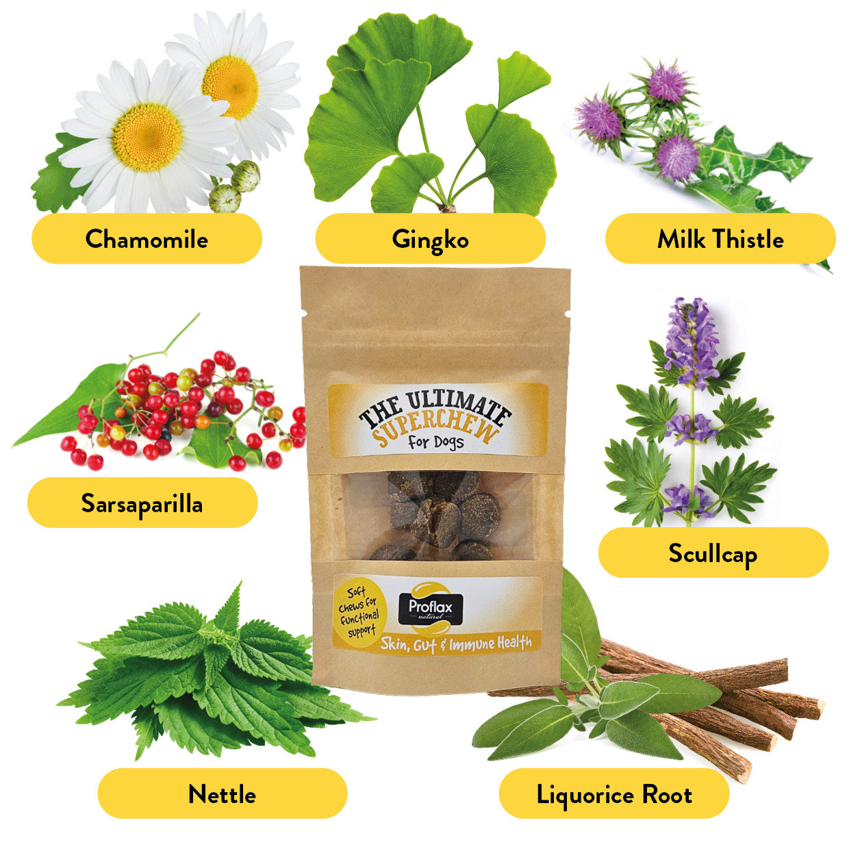 Soft Chews for Functional Support - Skin, Gut & Immune (Pocket Pack)