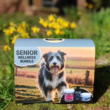 Targeted Wellness Bundle - Senior (Premium)