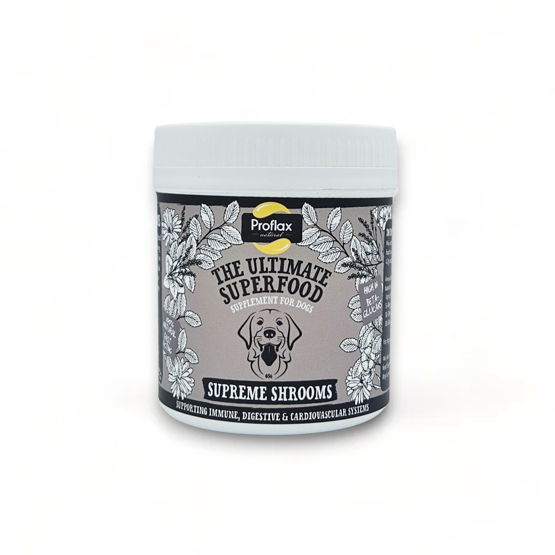 Immune Support for Dogs - Supreme Shrooms