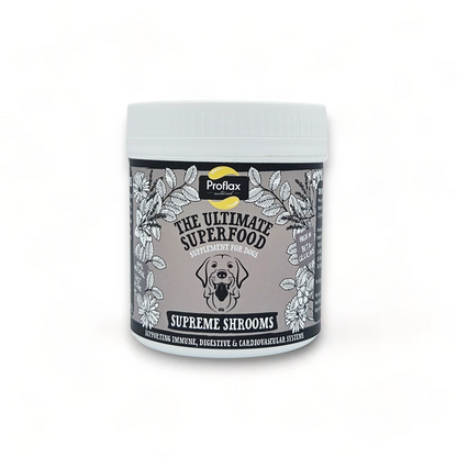 Immune Support for Dogs - Supreme Shrooms