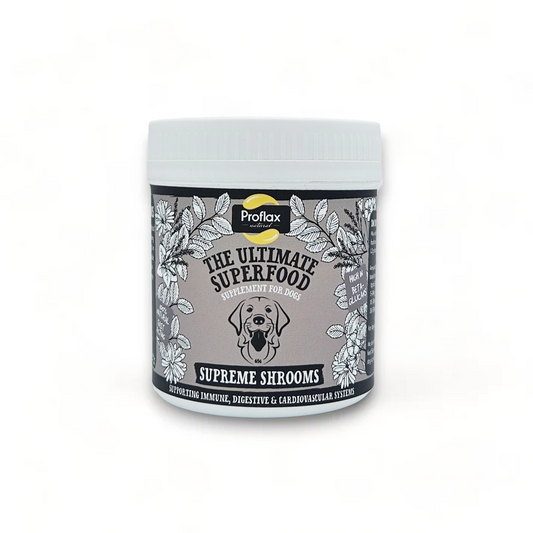 Immune Support for Dogs - Supreme Shrooms