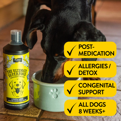 Liver & Cleansing Support for Dogs - Liver Love - Proflax