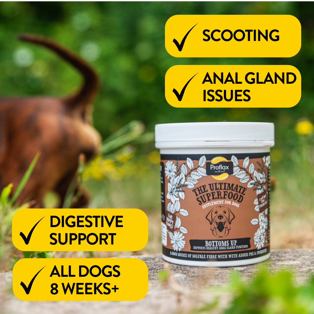 Anal Gland Support for Dogs - Bottoms Up - Proflax