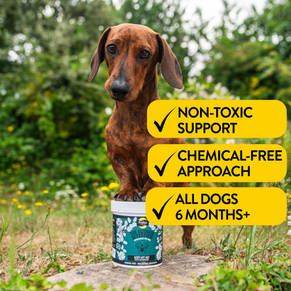 Natural Flea & Tick Support for Dogs - Keep Off Me! Powder - Proflax