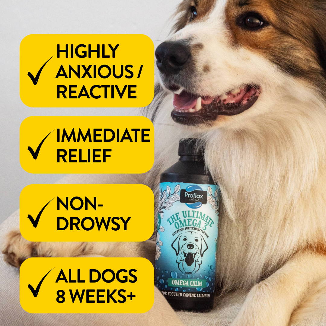 Calming Salmon Oil for Highly Anxious Dogs - Omega Calm - Proflax