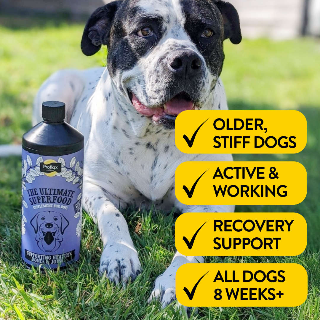 Bone, Joint & Mobility Support for Dogs