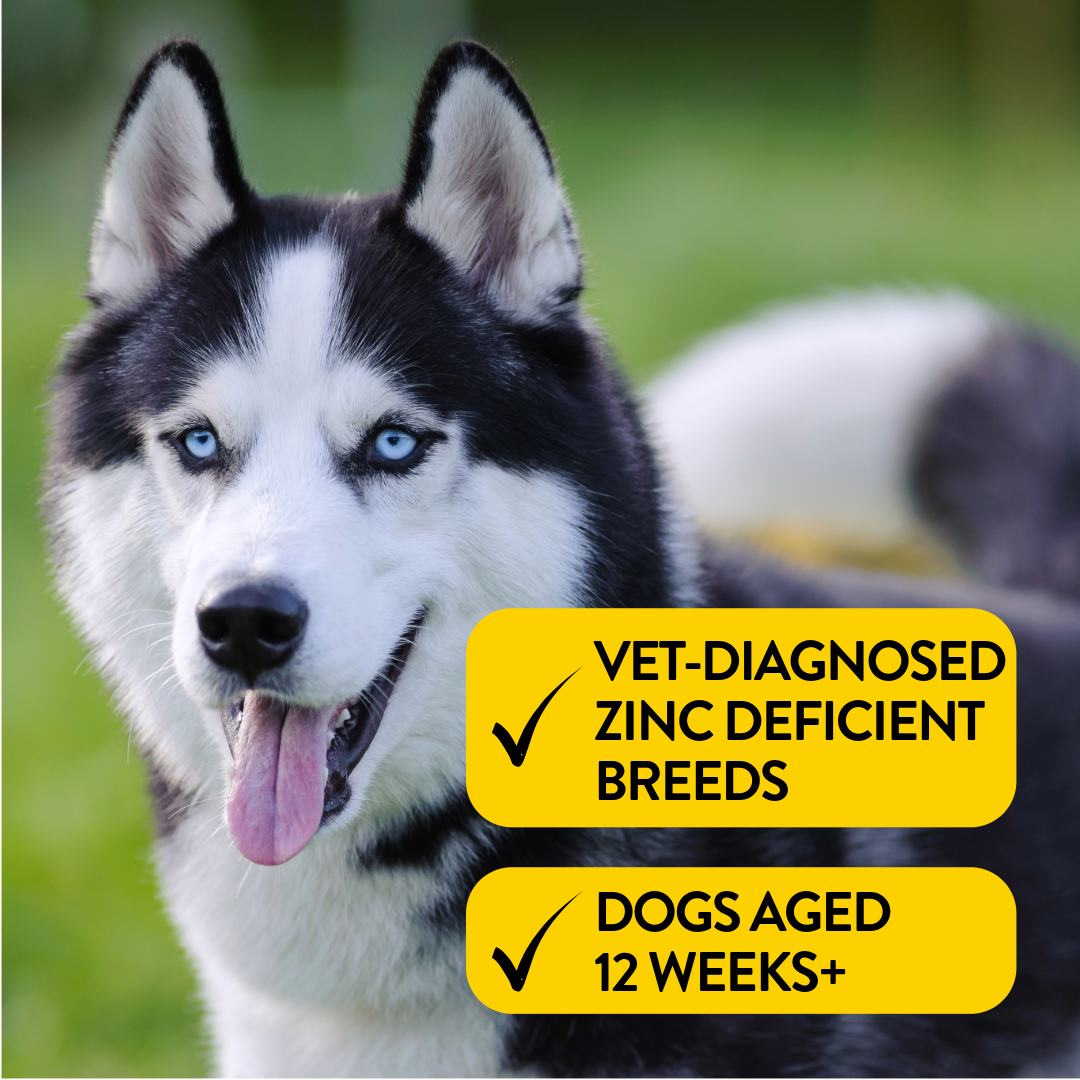 Sled Head – Complete Zinc Nutrition Blend - Proflax