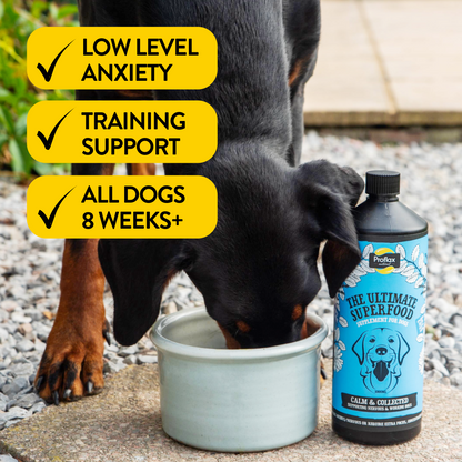 Calming Support for Mild Anxiety - Calm & Collected