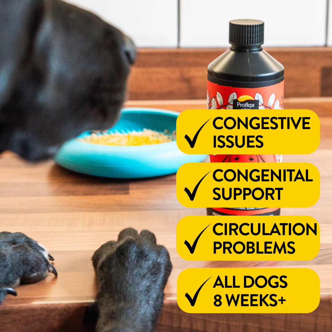 Heart & Circulation Support for Dogs - Healthy Heart - Proflax