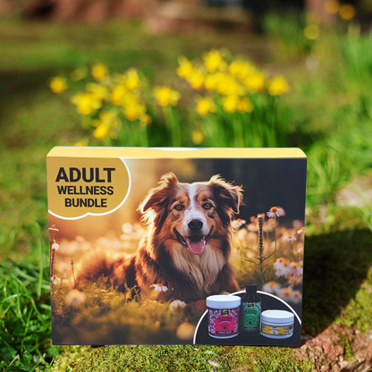 Targeted Wellness Bundle - Adult (Premium)