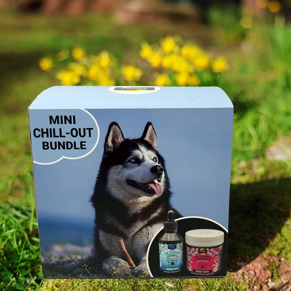 Targeted Wellness Bundle - Mini Chill Out