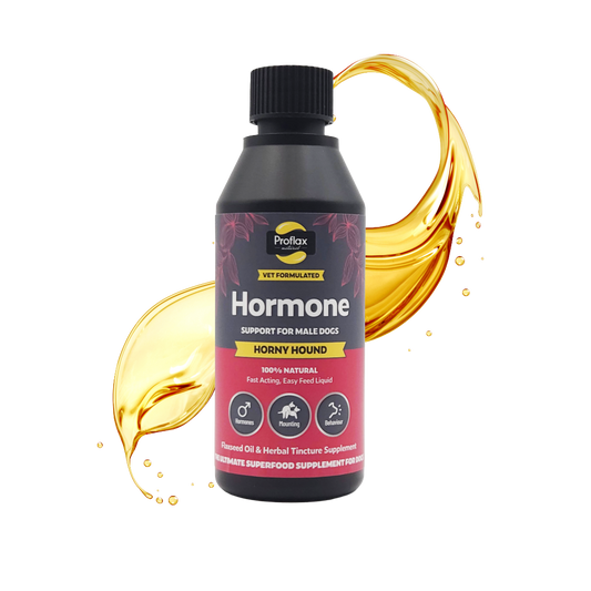 Hormone Balance for Male Dogs - Horny Hound