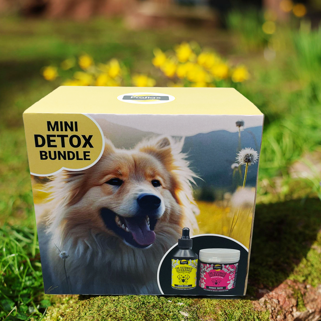 Targeted Wellness Bundle - Mini Detox