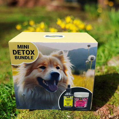 Targeted Wellness Bundle - Mini Detox