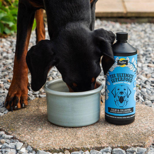 Calming Support for Mild Anxiety - Calm & Collected