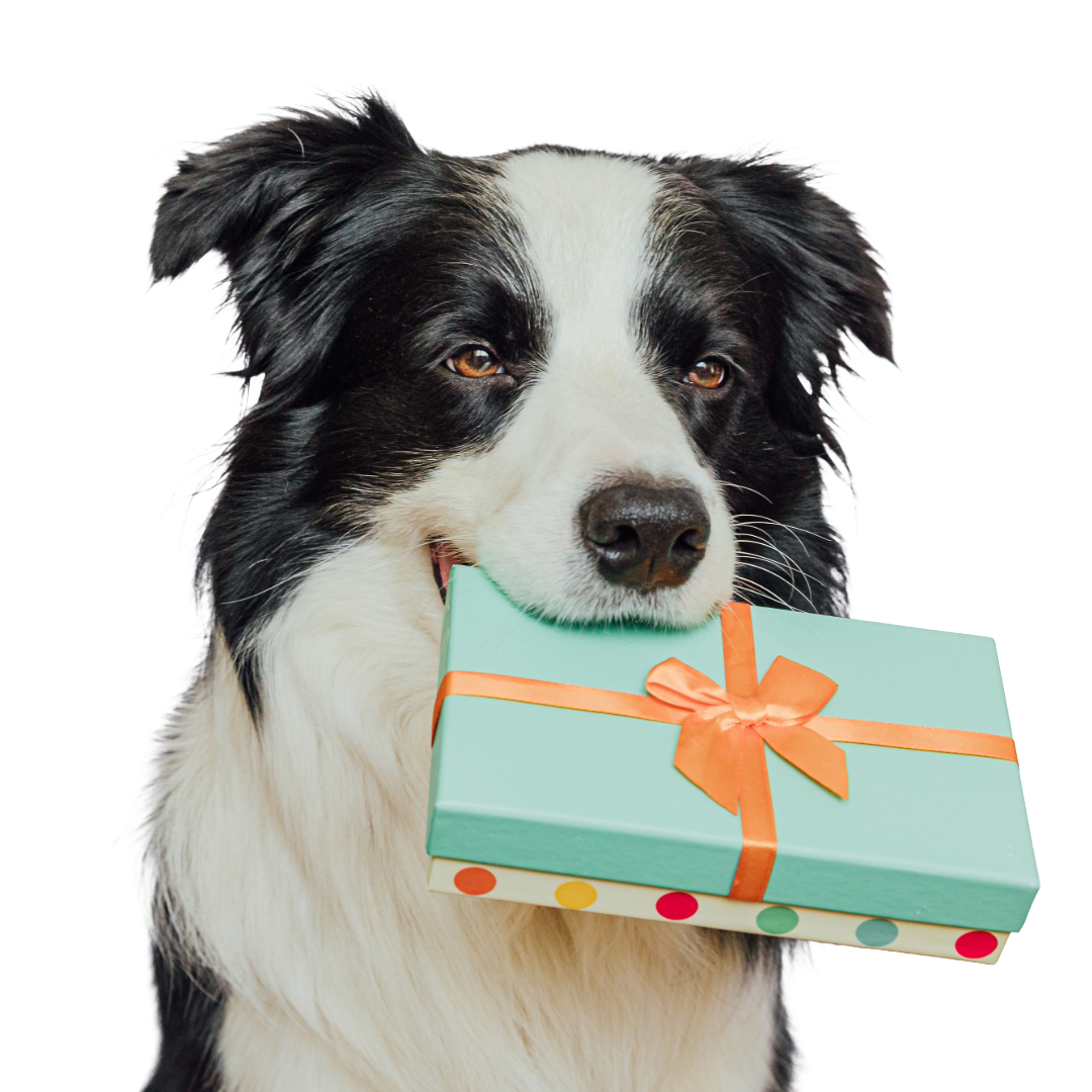 Proflax Digital Gift Card – Natural Support, Thoughtfully Given