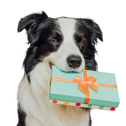 Proflax Digital Gift Card – Natural Support, Thoughtfully Given