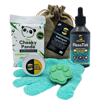 Summer Adventure Kit
