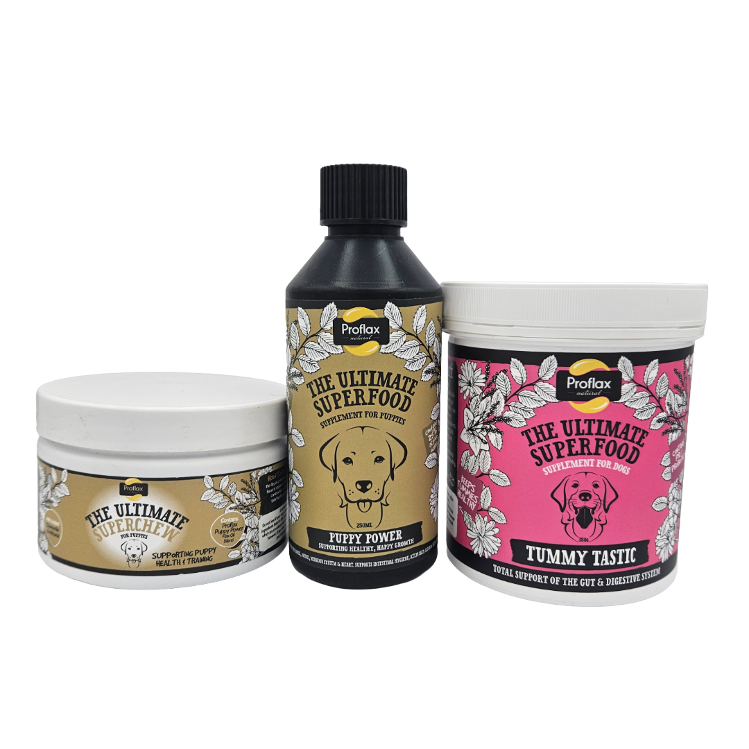Targeted Wellness Bundle - Puppy (Premium)