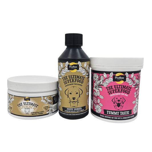 Targeted Wellness Bundle - Puppy (Premium)