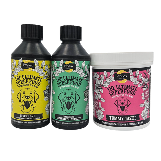 Targeted Wellness Bundle - Yeast (Premium)