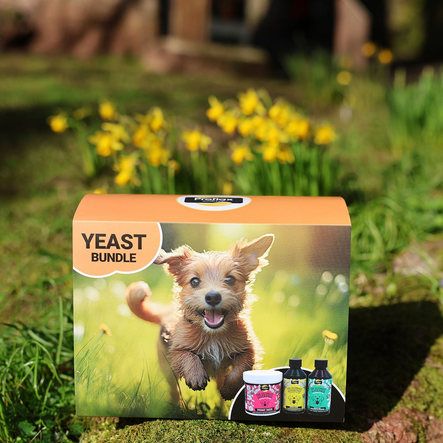 Targeted Wellness Bundle - Yeast (Premium)