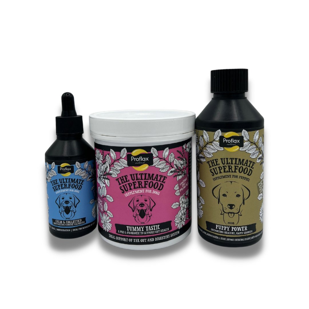 Proflax Puppy Wellness Bundle for Dogs - Proflax